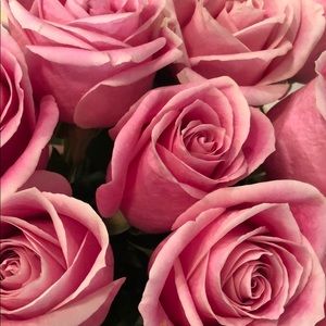 Meet your Posher, Andrea